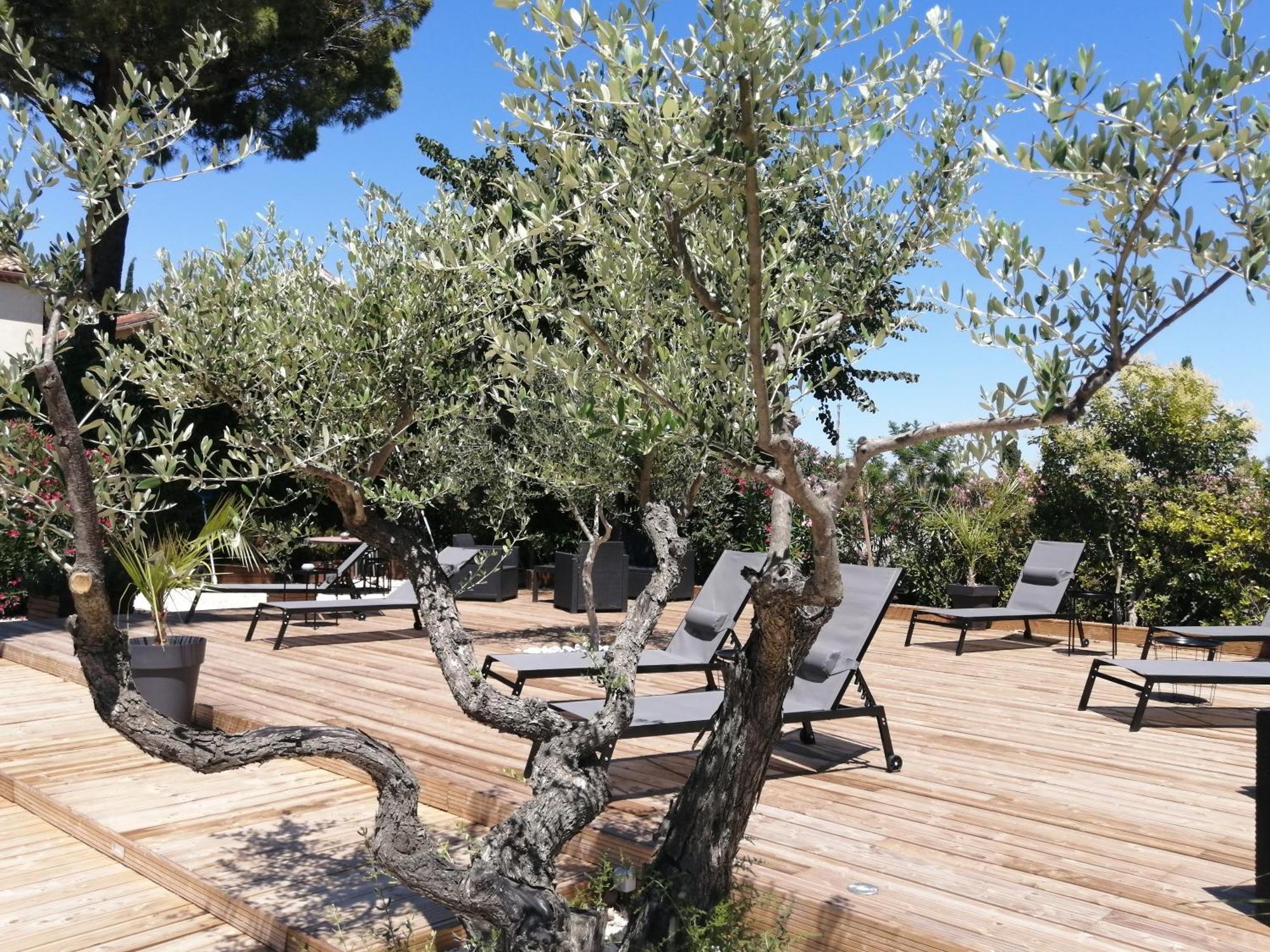A L'Oree Des Vignes Montady Экстерьер фото