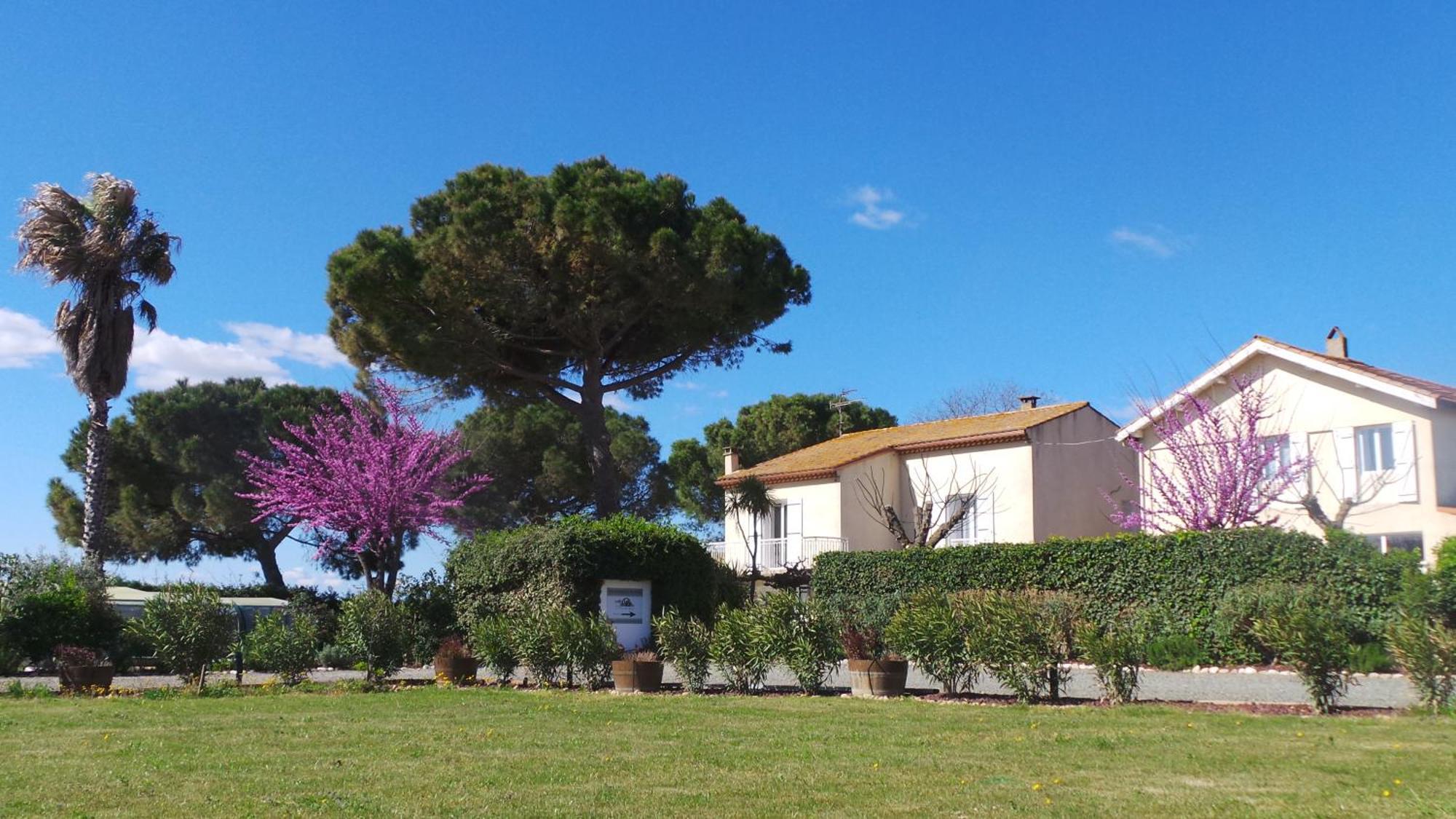 A L'Oree Des Vignes Montady Экстерьер фото