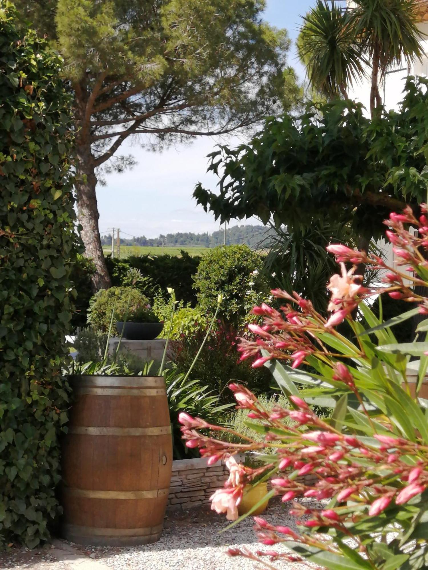 A L'Oree Des Vignes Montady Экстерьер фото